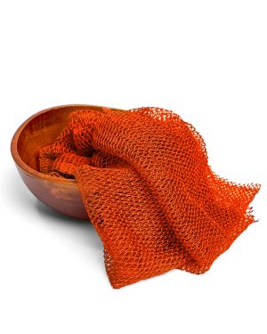 Pumpkin Orange Sponge